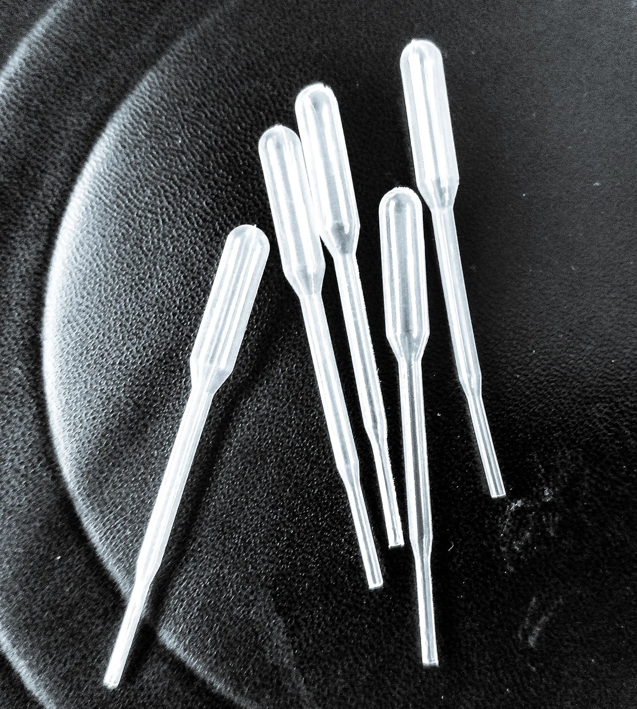 Dropper Pipettes - pack of 2