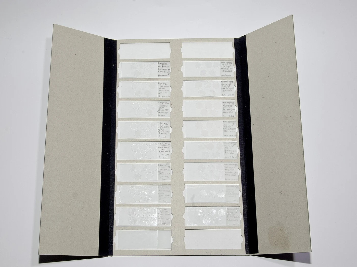 Glass Microscope Slides - pack of 2